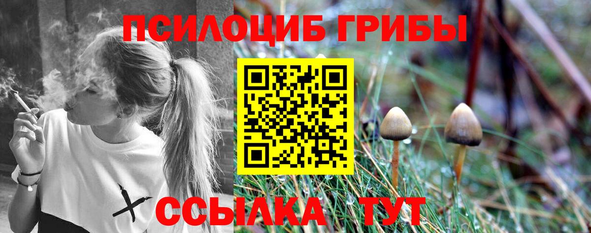 Галлюциногенные грибы MAGIC MUSHROOMS Курск